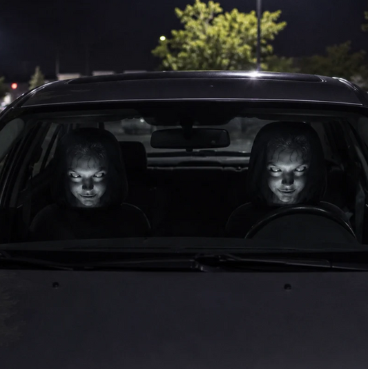 Look-Twice Headrest Cover